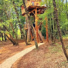 Отель Cabanes dans les arbres avec spa Lot et Dordogne, фото 11