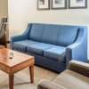 Отель Comfort Suites Near Potomac Mills, фото 4