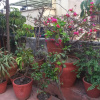 Отель Holyland Guest House, фото 8