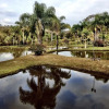 Отель Pousada Rural Gota de Minas, фото 7