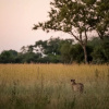 Отель Sable Alley, фото 13