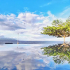 Отель Seaview Beach Resort, фото 5