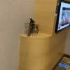 Отель Business Excellence Hotel (Jiangmen Xinhuigangzhou Plaza), фото 2