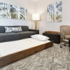 Отель Springhill Suites Dallas Mansfield, фото 4
