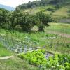 Отель Casa Rural Garabilla, фото 9