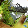 Отель Cover yard homestay, фото 10