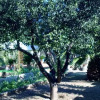 Отель B&B Pittoresco, фото 19