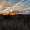 Отель Agriturismo Le Querce, фото 27