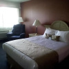 Отель Lewis River Inn, фото 5