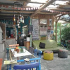 Отель Campeche Hostel, фото 22