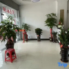 Отель Biquan Inn, фото 4