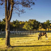 Отель Sertão Veredas Hotel Fazenda, фото 7