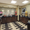 Отель Hampton Inn Ashtabula, фото 23