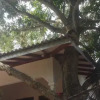Отель shehara homestay, фото 12