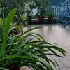 Отель Nanohana Lodge, фото 3