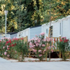 Отель Lagrange Vacances Camping Le Bois Fleuri, фото 1