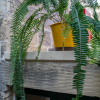 Отель Ta' Pinu B&B, фото 35