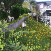 Отель Kinabalu Pine Resort, фото 2