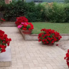 Отель I Gerani B&B, фото 1