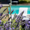 Отель Relais Villa Jacopone Suites, фото 14