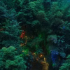 Отель First Forest Hot Spring Hotel FLOWER BAY, фото 21