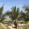 Отель Kalimba Beach Resort, фото 12