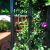 Отель Fourways Junction Estate, фото 13