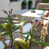 Отель Logis Val Flores, фото 20