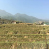 Отель Ta Van Heaven Homestay, фото 21