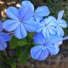 Отель Witherspoon Lodge, фото 10
