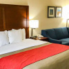 Отель Comfort Inn And Suites, фото 5
