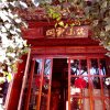 Отель Lijiang Xianyun Xiaozhu Inn, фото 1