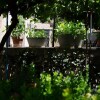 Отель Casa con Giardino interno nel cuore delle Madonie, фото 9