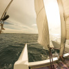 Отель Ras Reef Guest House, фото 23