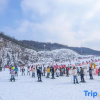 Отель Moganshan 6373 RV Park, фото 4