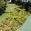 Отель Vygeboom Manor Boutique Guest House, фото 15