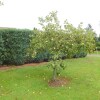 Отель Beautiful Detached Holiday Home with Swimming Pool And Lots of Leisure Facilities, фото 21