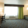 Отель Holiday Inn Express & Suites Rock Falls, фото 14