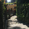 Отель Pet Friendly Casa Studio in the Woods, фото 6