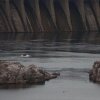 Отель Злата Прага, фото 10