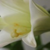 Отель on St Georges, фото 28