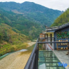 Отель Longji Longbao Zhuangjia Hotel, фото 14