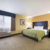 Отель Quality Inn & Suites, фото 5