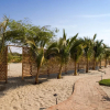 Отель Organos Beach, фото 17
