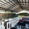 Отель The Camp Muay Thai Resort and Academy, фото 5