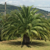 Отель Hôtes'Antic Provence, фото 1