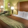Отель Comfort Inn, фото 5