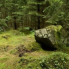 Отель The Morrum River Bed and Breakfast, фото 8