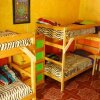 Отель Iguana Hostel, фото 14