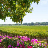 Отель Goedemoed Farm Guest House, фото 13